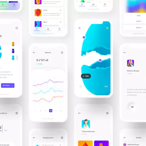 Mobile App Developers & Experts Soft Ranges